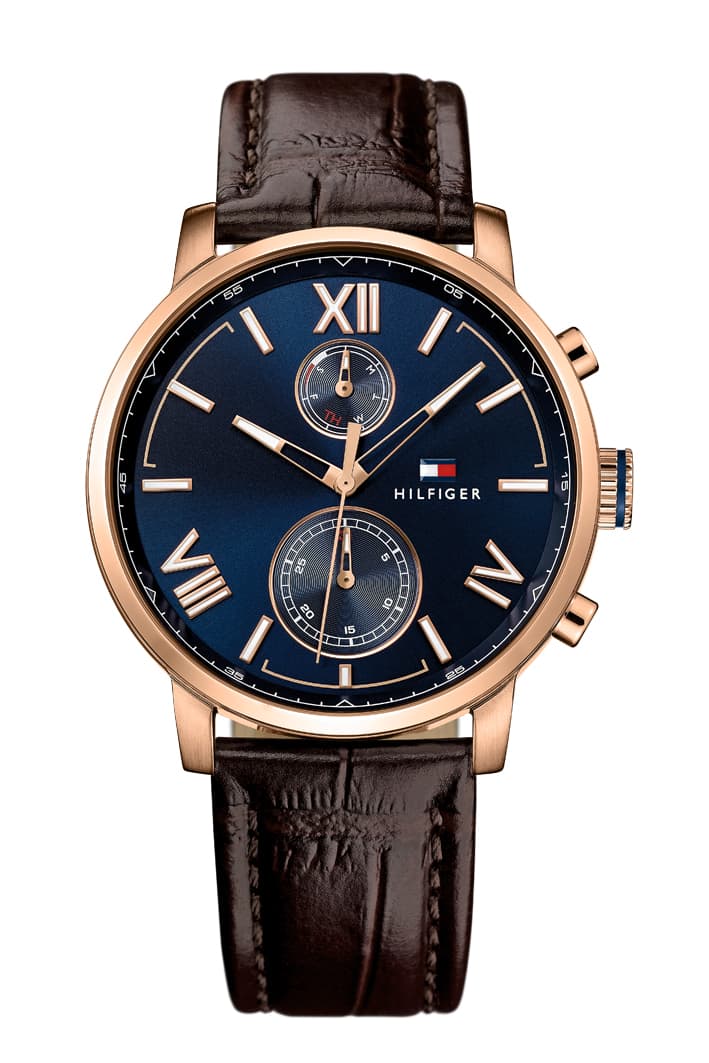 Hodinky TOMMY HILFIGER 1791308