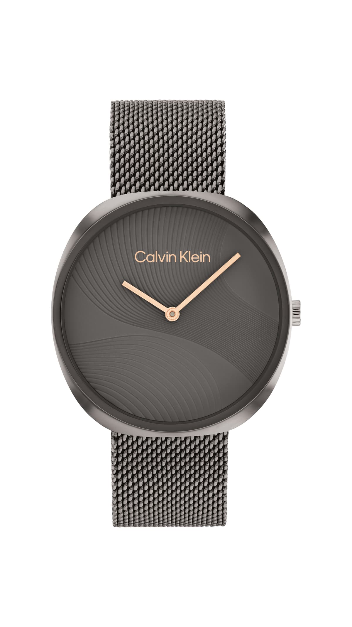 Hodinky CALVIN KLEIN 25200248