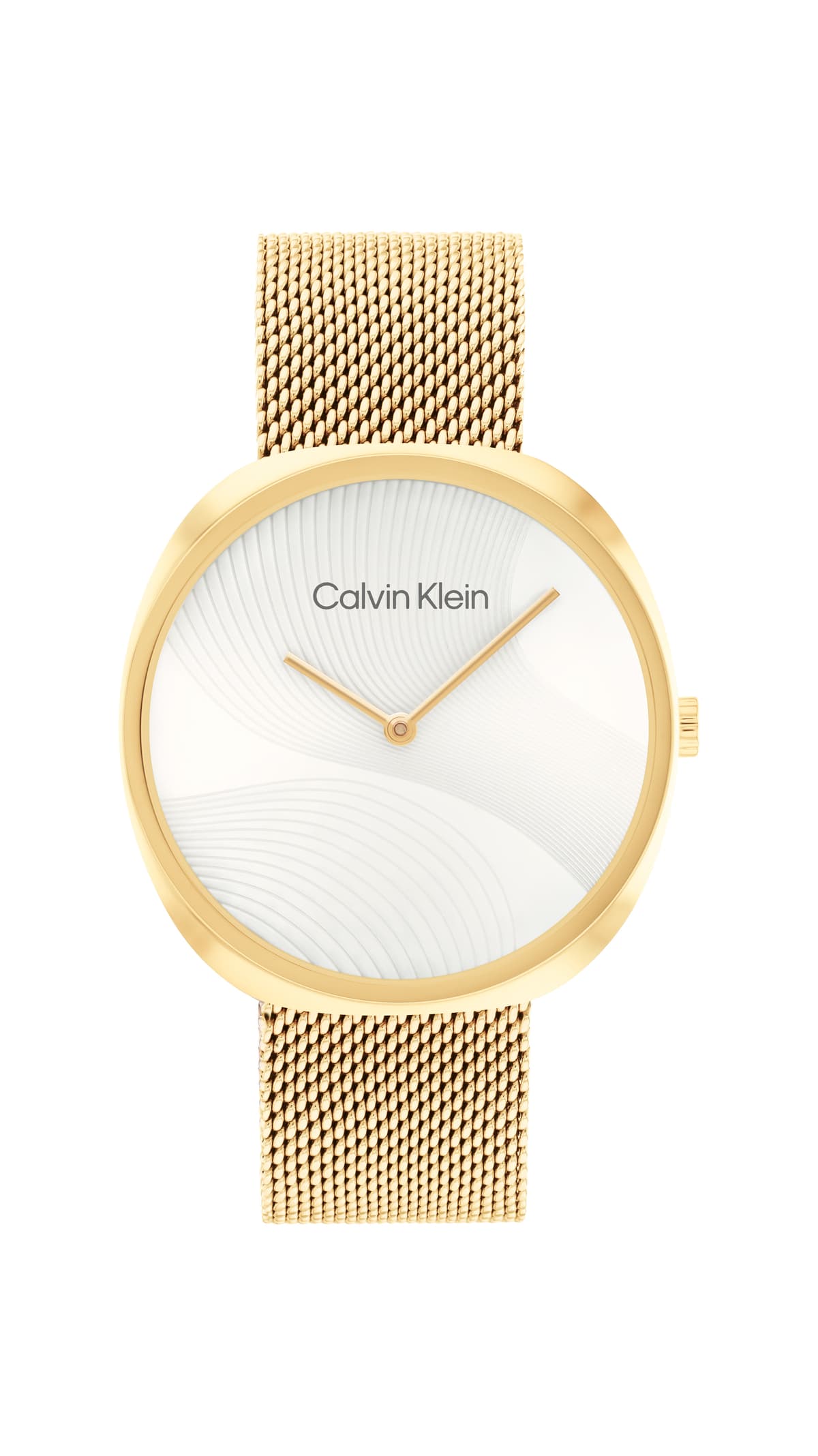 Hodinky CALVIN KLEIN 25200246