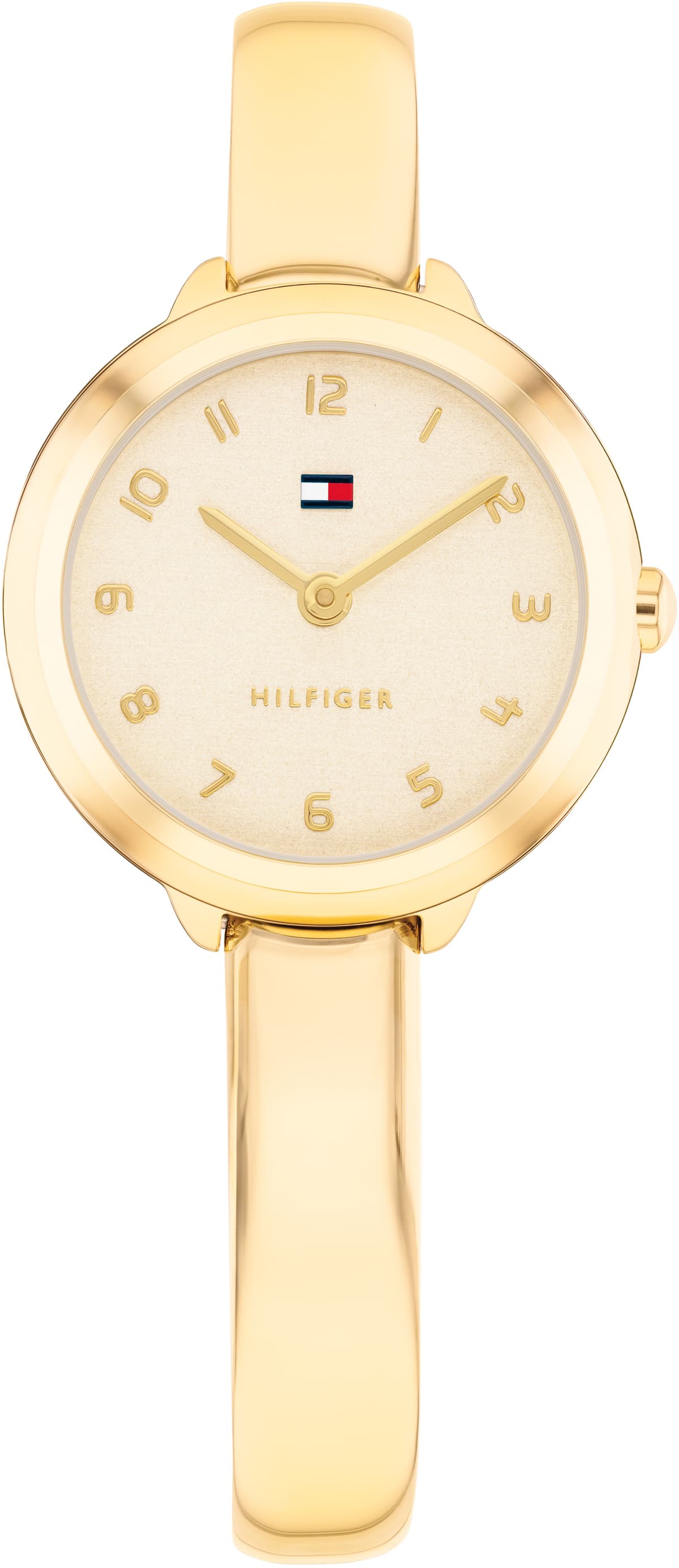 Tommy Hilfiger Demi Bangle 1782895